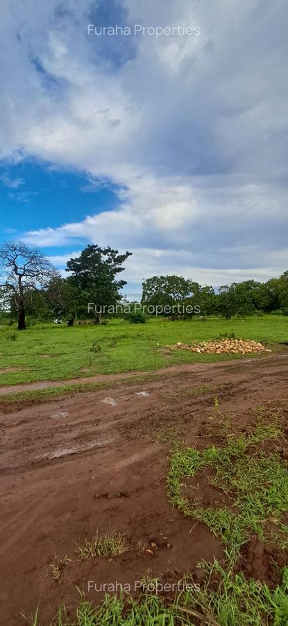 Land in Vipingo - 10