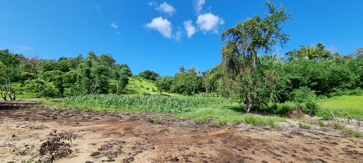 2.5 ac Land at Mtwapa Creekside - 5