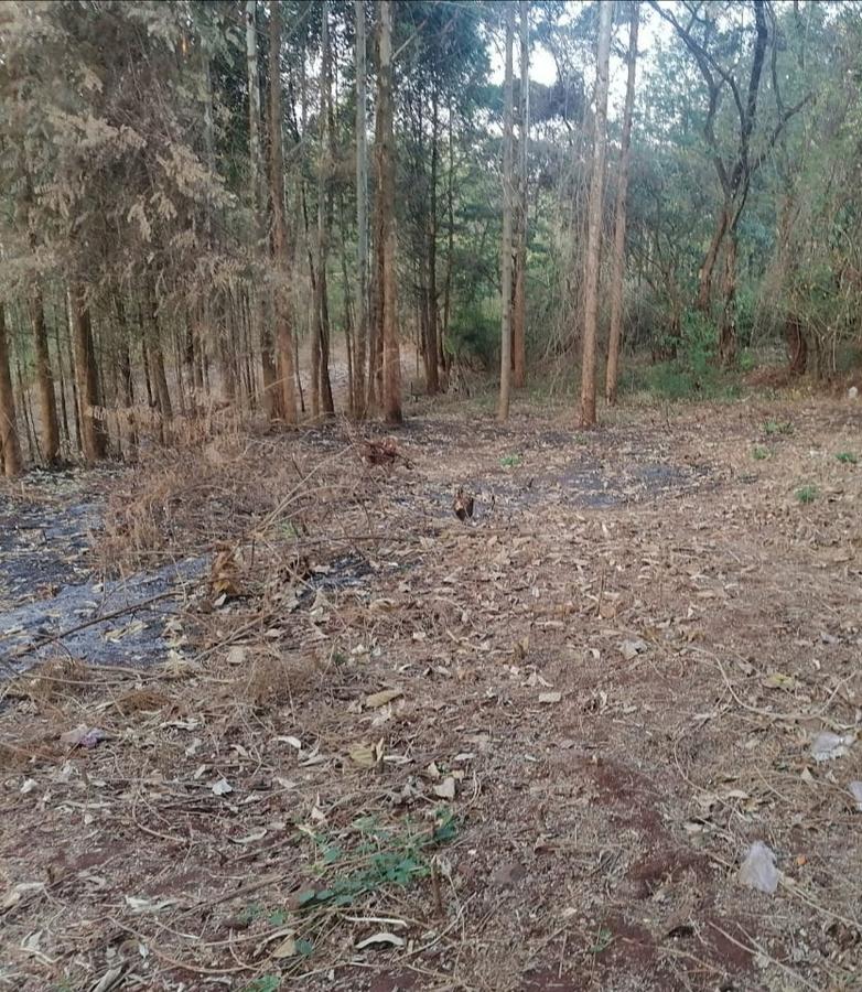 0.125 ac Residential Land at Near White House - Near Muiru Drive - 3