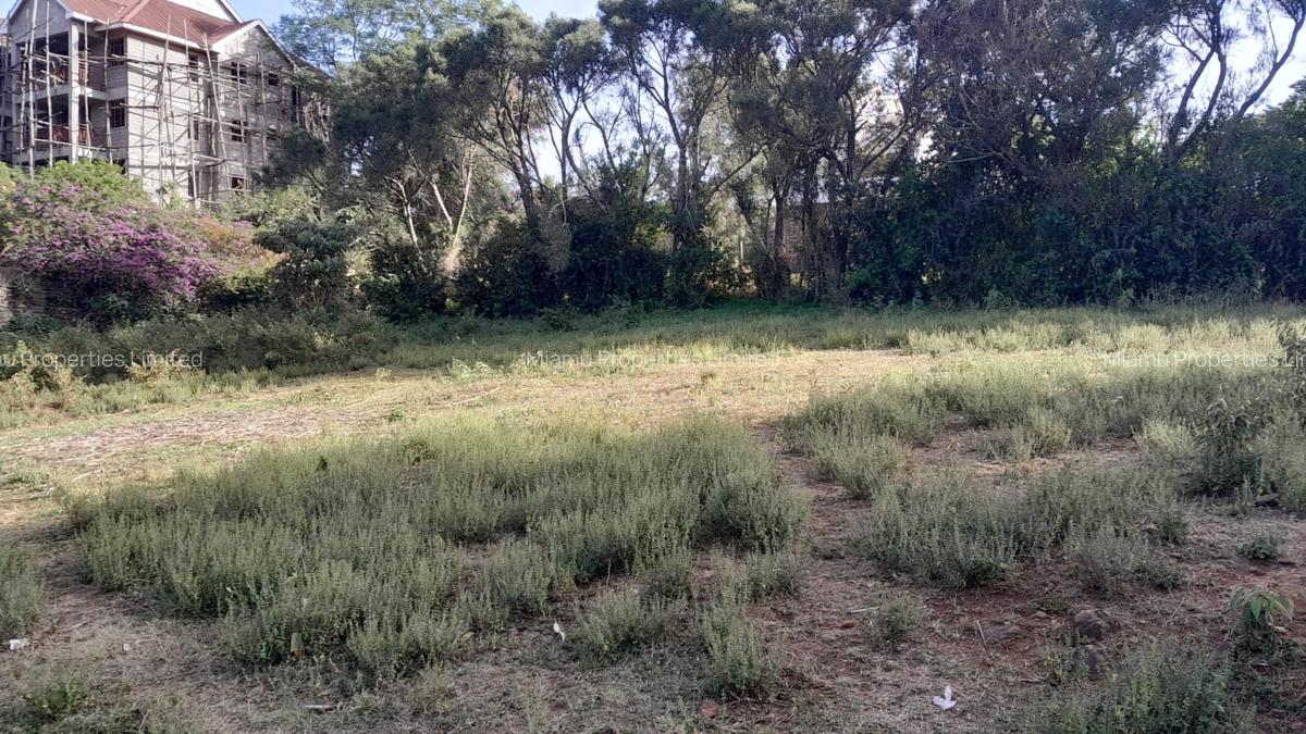 Land at Mayor Road - 3