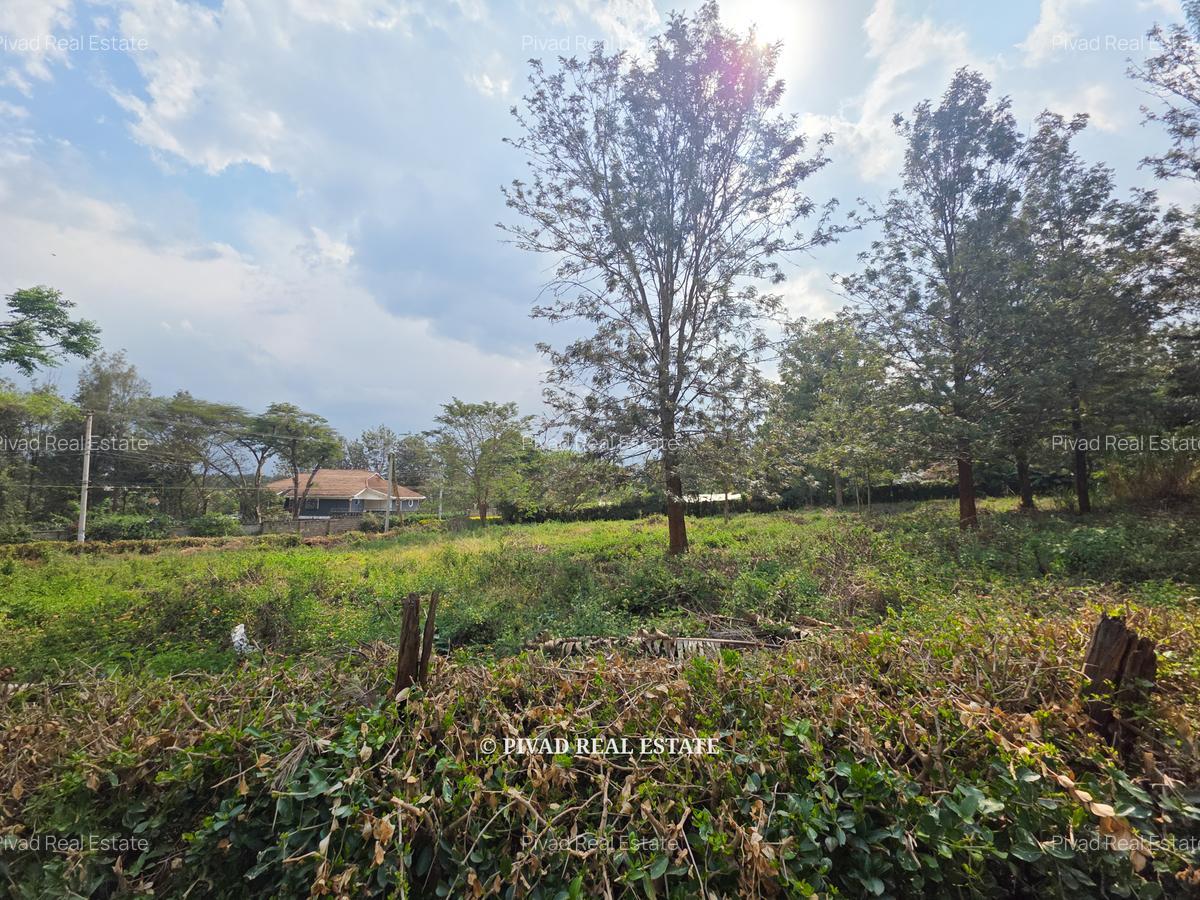 0.5 ac Residential Land in Ridgeways - 4