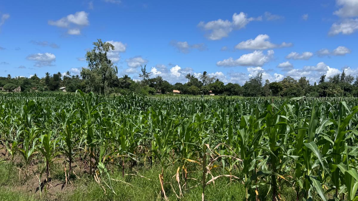 464 m² Land at Mavueni - 8