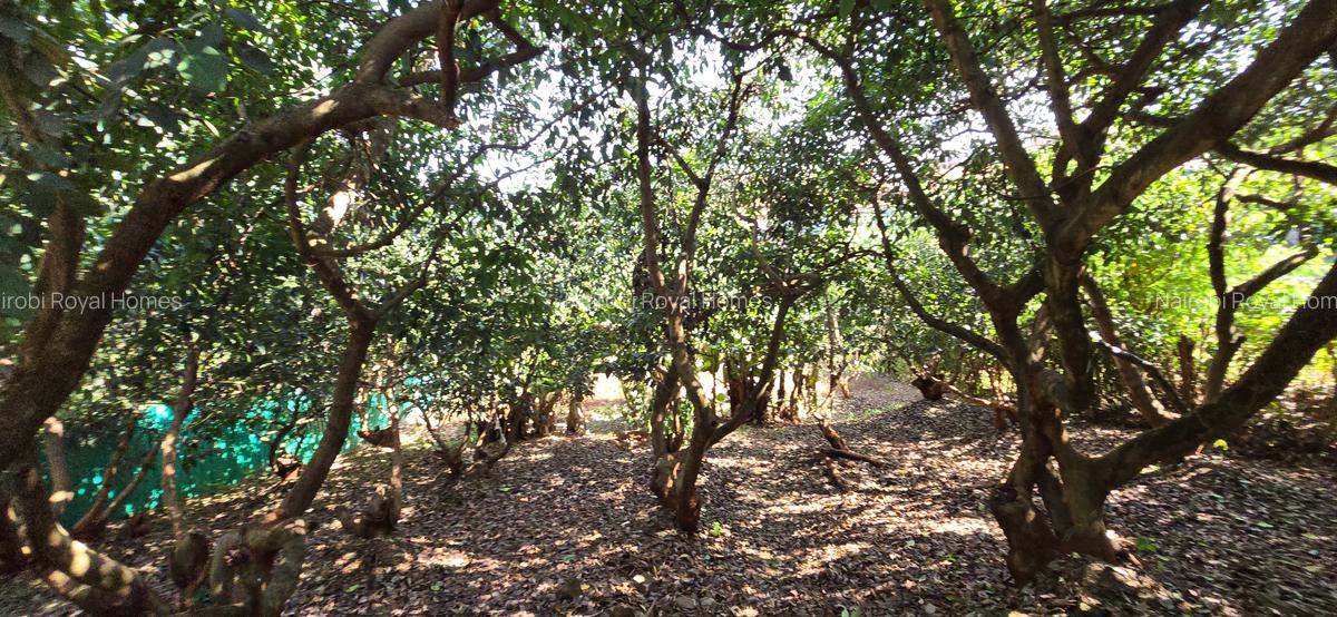 4 Bed House with En Suite at Loresho Loresho - 4