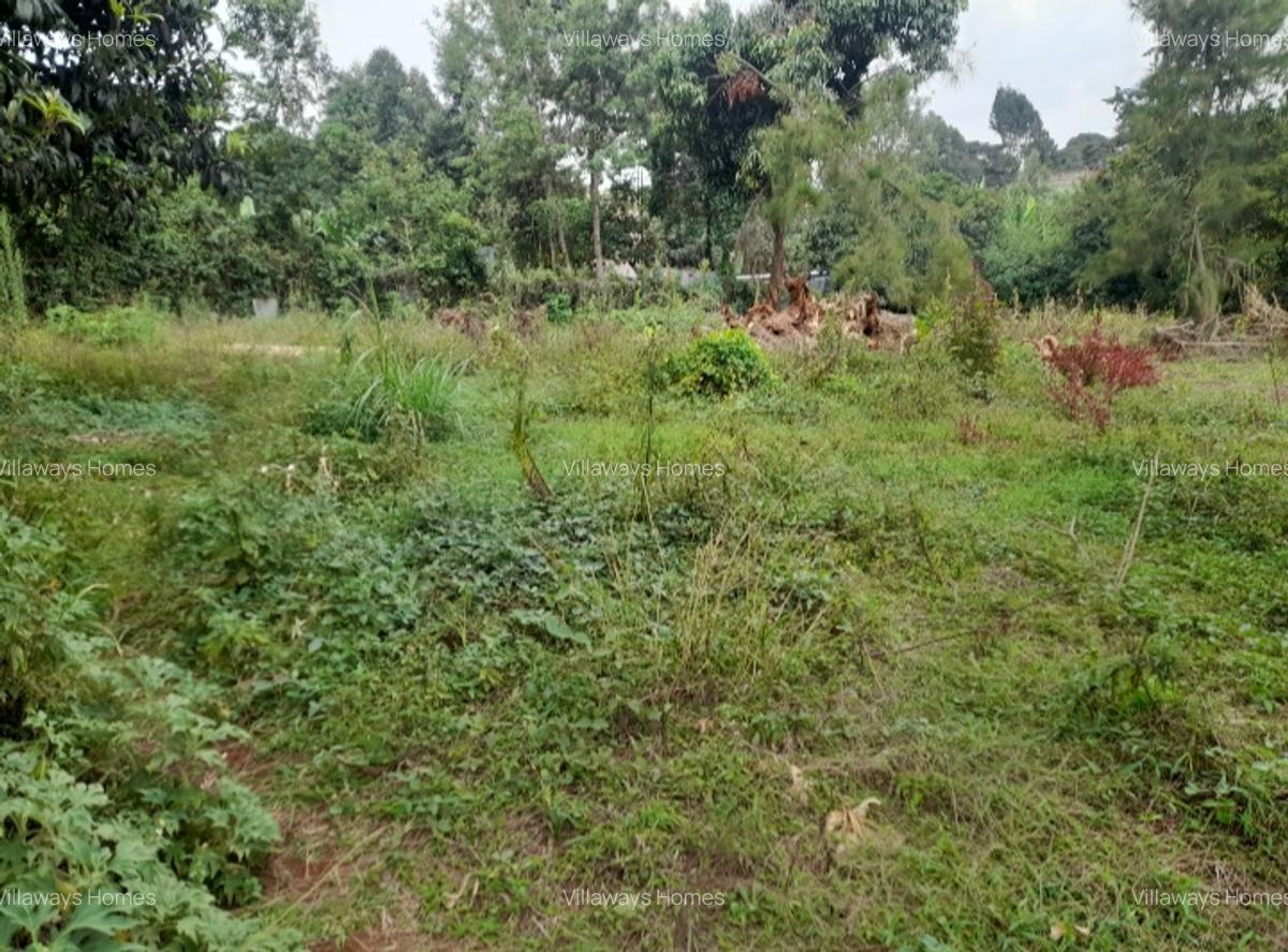 Commercial Property in Kinoo - 3