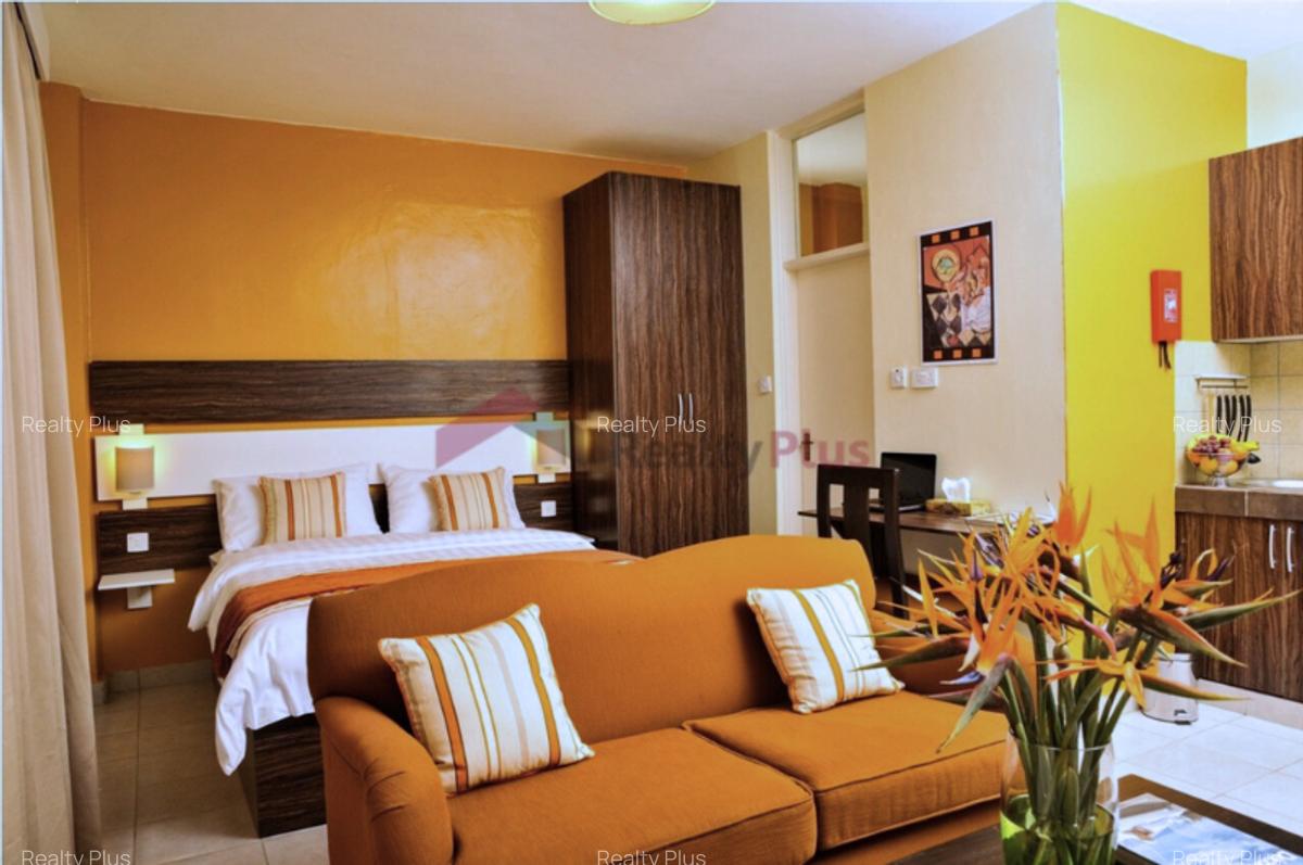 Furnished Bedsitter at Maai Mahiu Road - 3