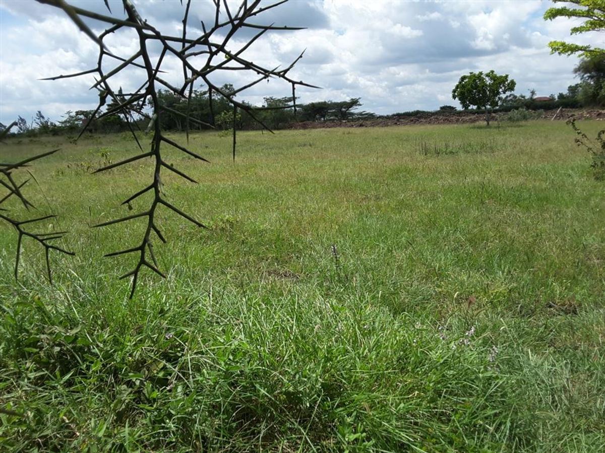 500 m² Residential Land in Ongata Rongai - 6