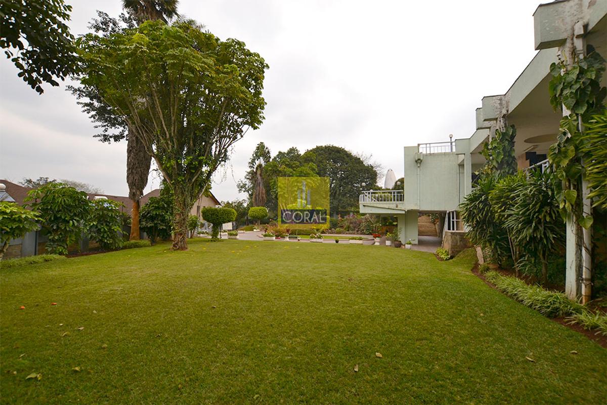 Office with Backup Generator in Lavington - 10