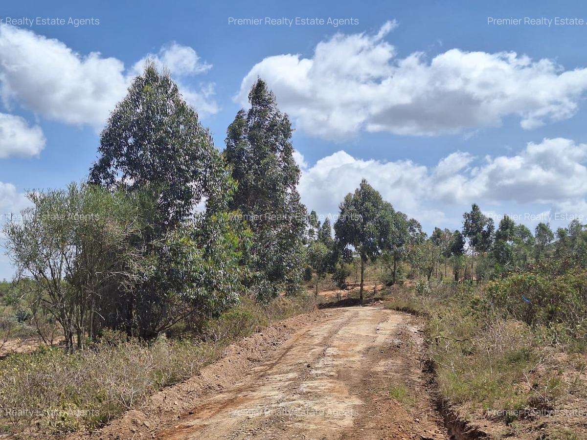 0.125 ac Residential Land at Nachu - 3