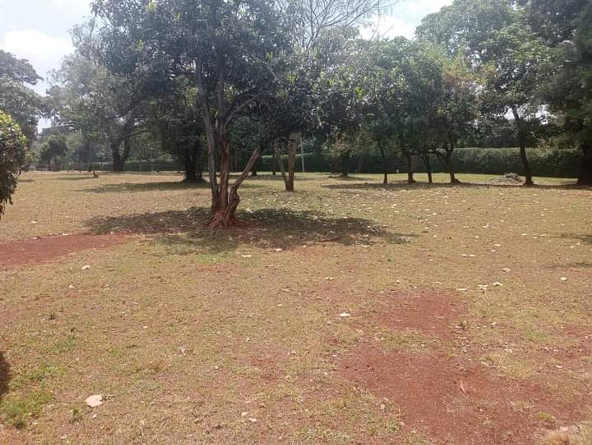 3 ac Land in Karen - 1