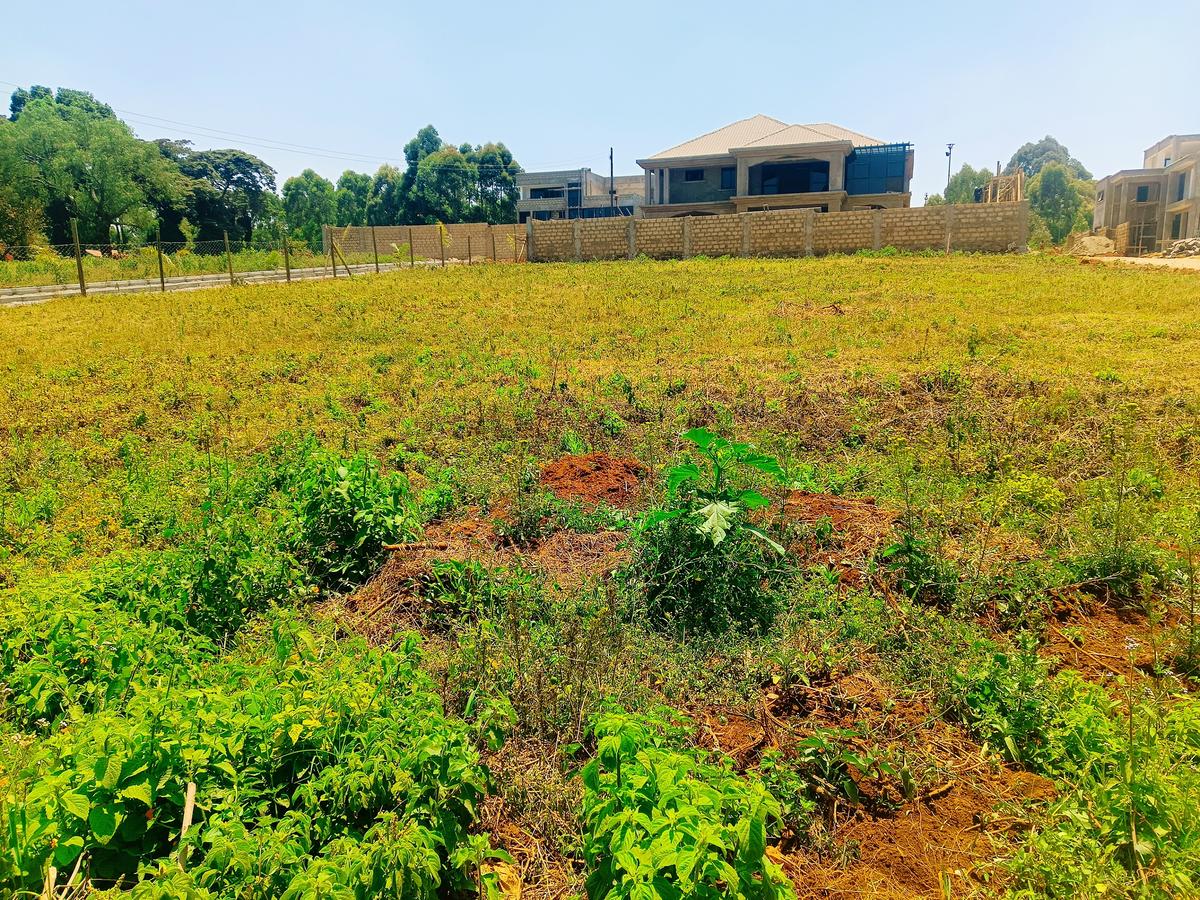 1,000 m² Residential Land at Ondiri - 3