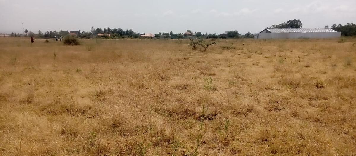 1 ac Residential Land at Sifa Estate - 2