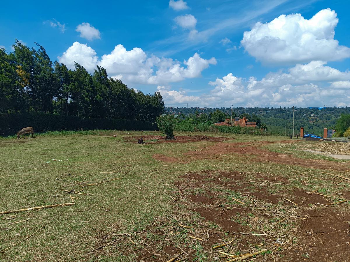 3,000 m² Residential Land at Ondiri - 6