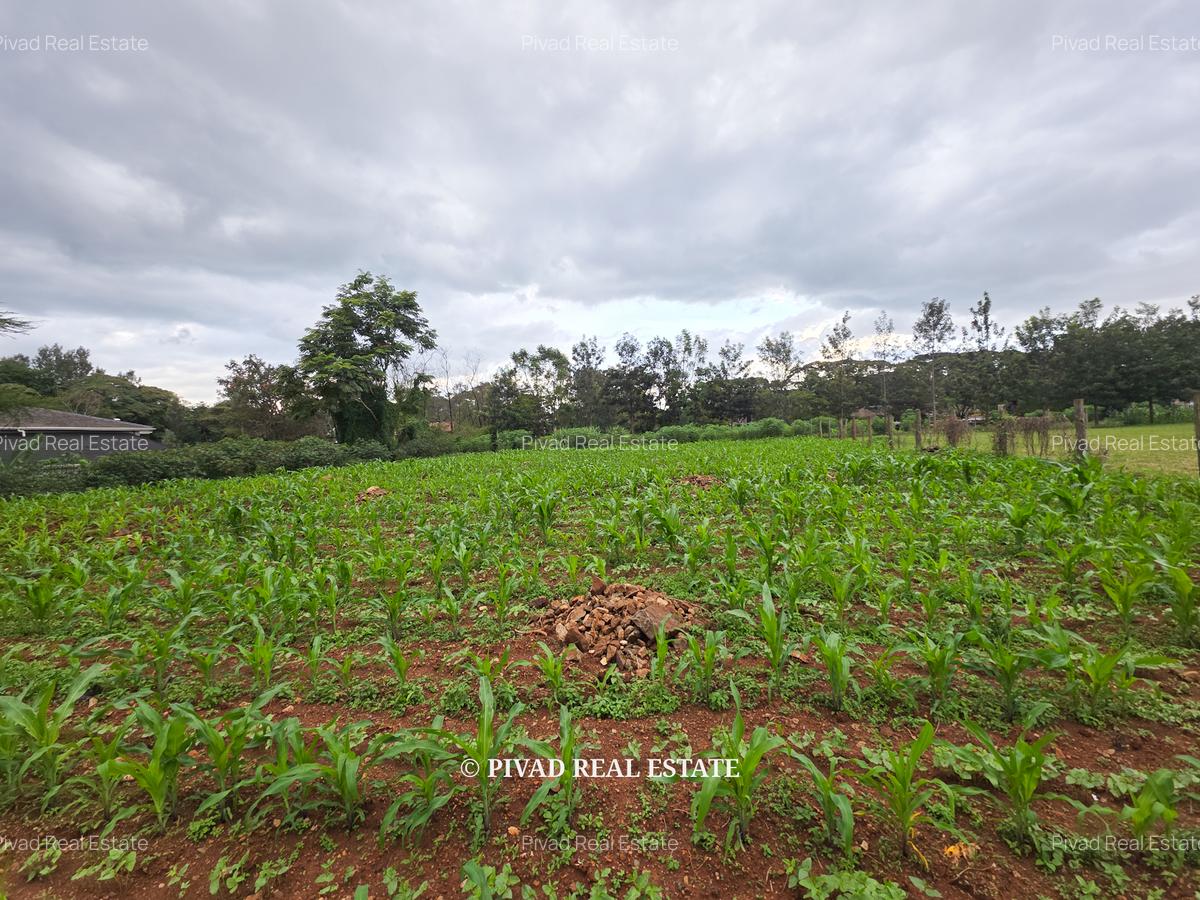 0.5 ac Land in Ridgeways - 2