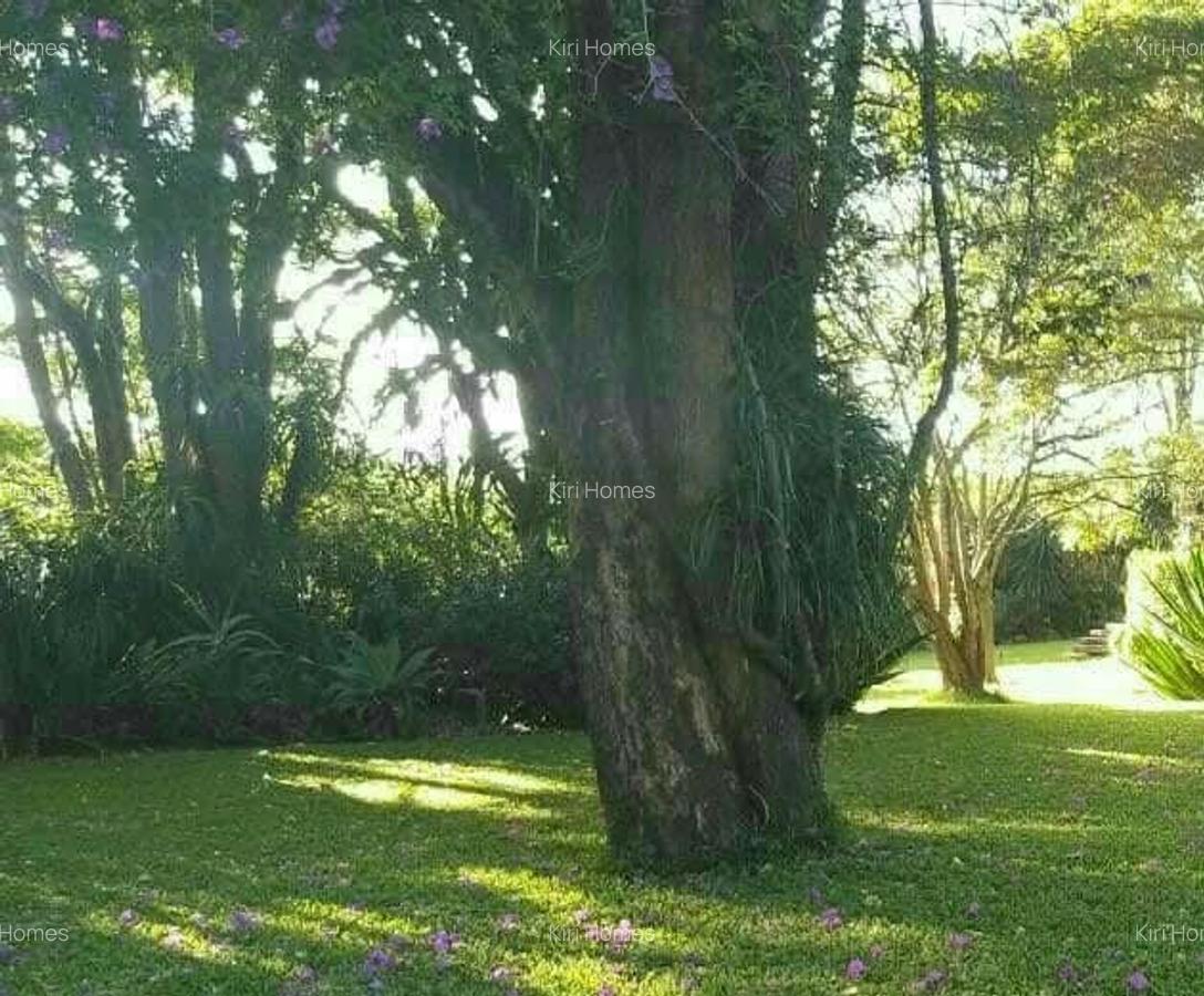 Land at Windy Ridge - 5