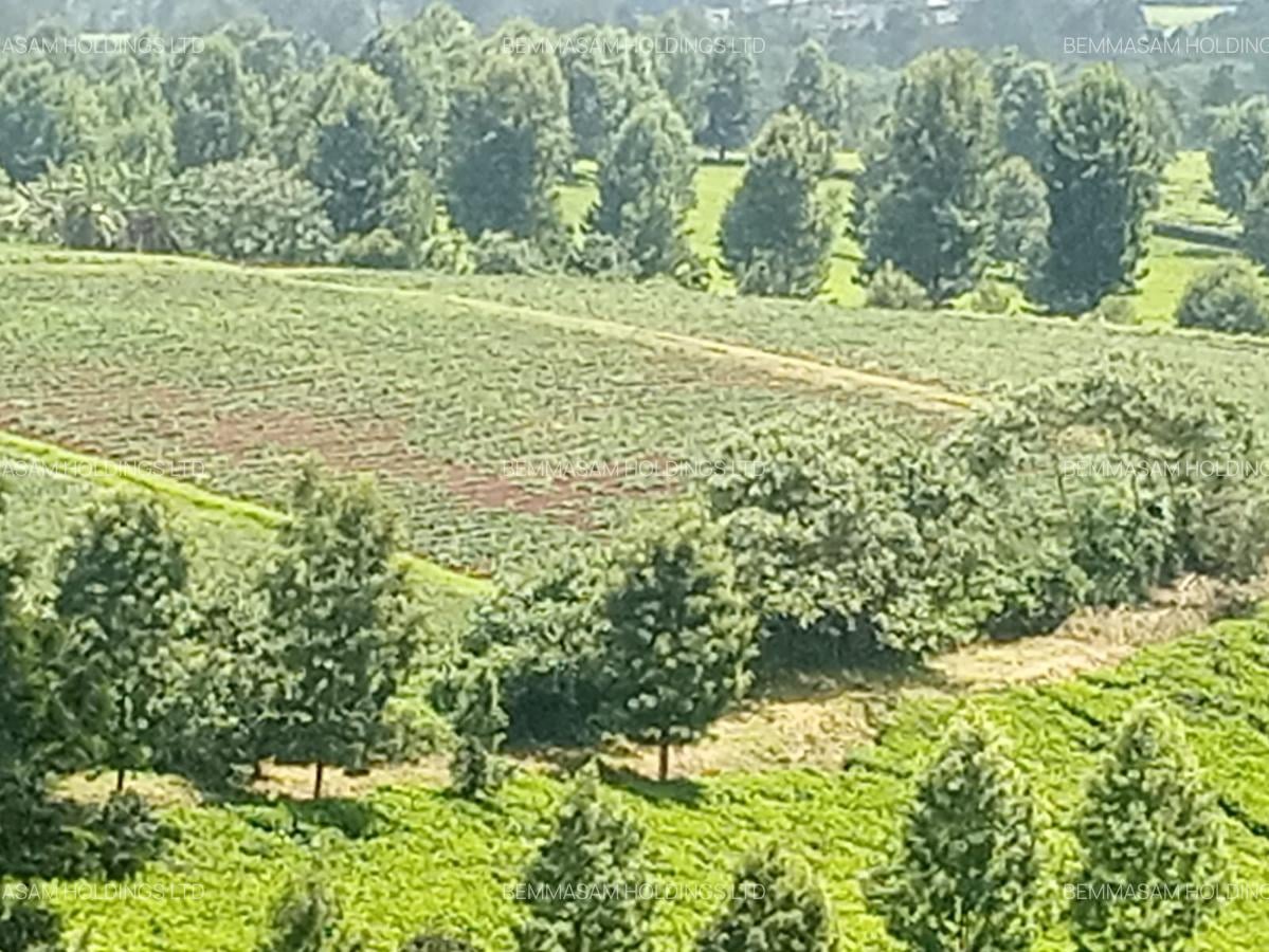 2 ac Land at Off Tigoni - Kabuku Rd - 4