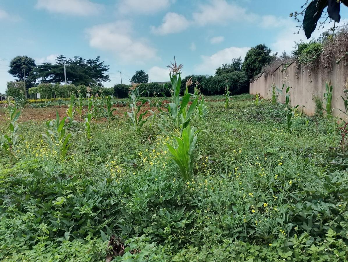 Residential Land in Runda - 4