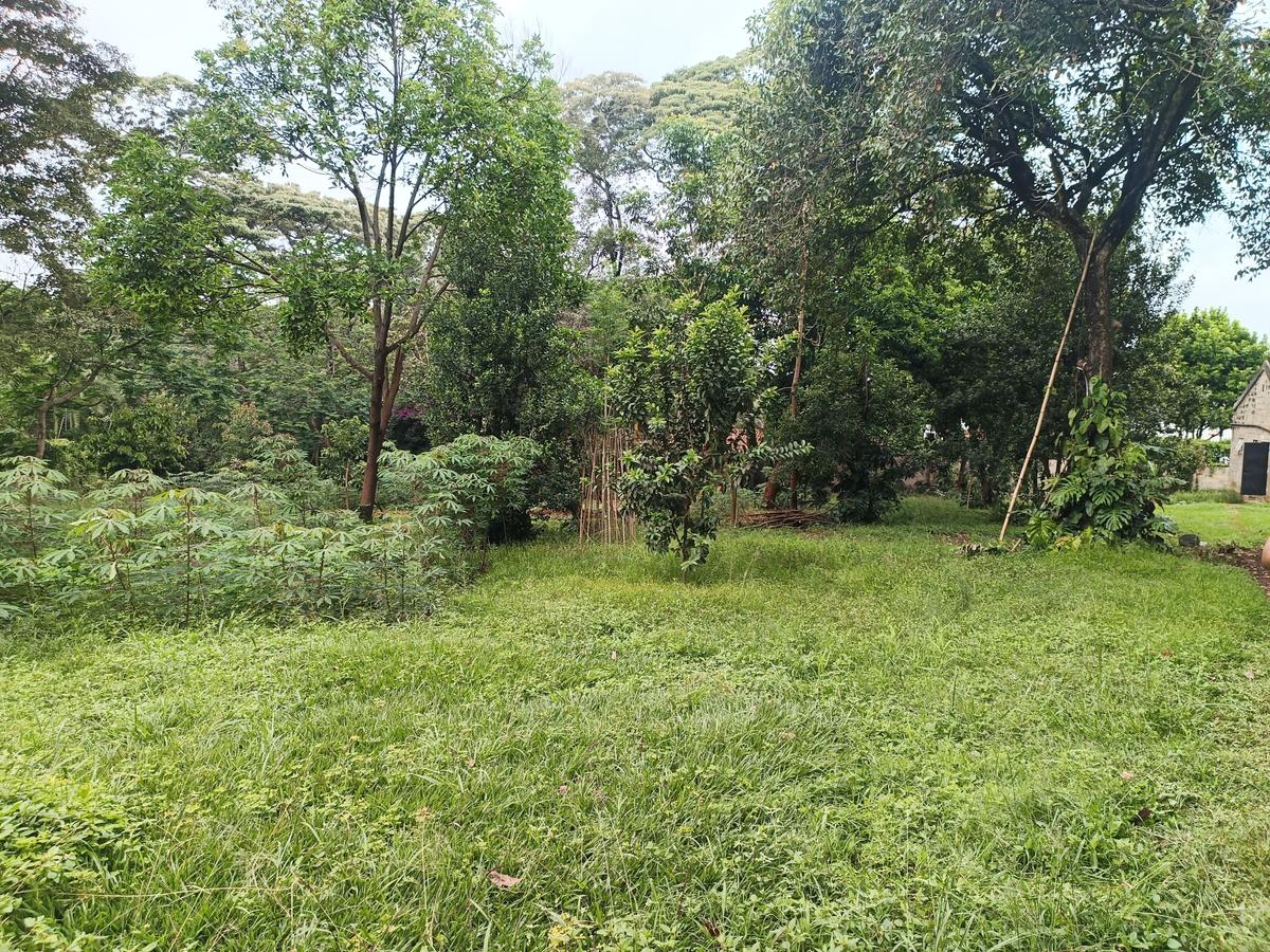 1 ac Land at Old Muthaiga - 6