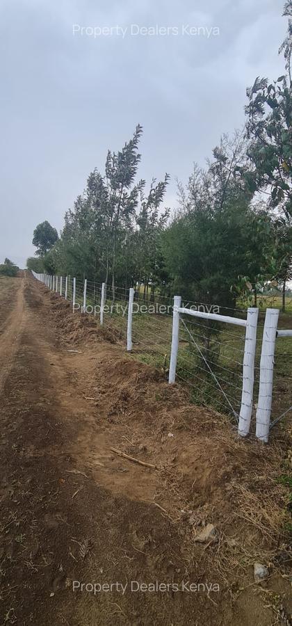 Residential Land at Moi South Lake Road - 10