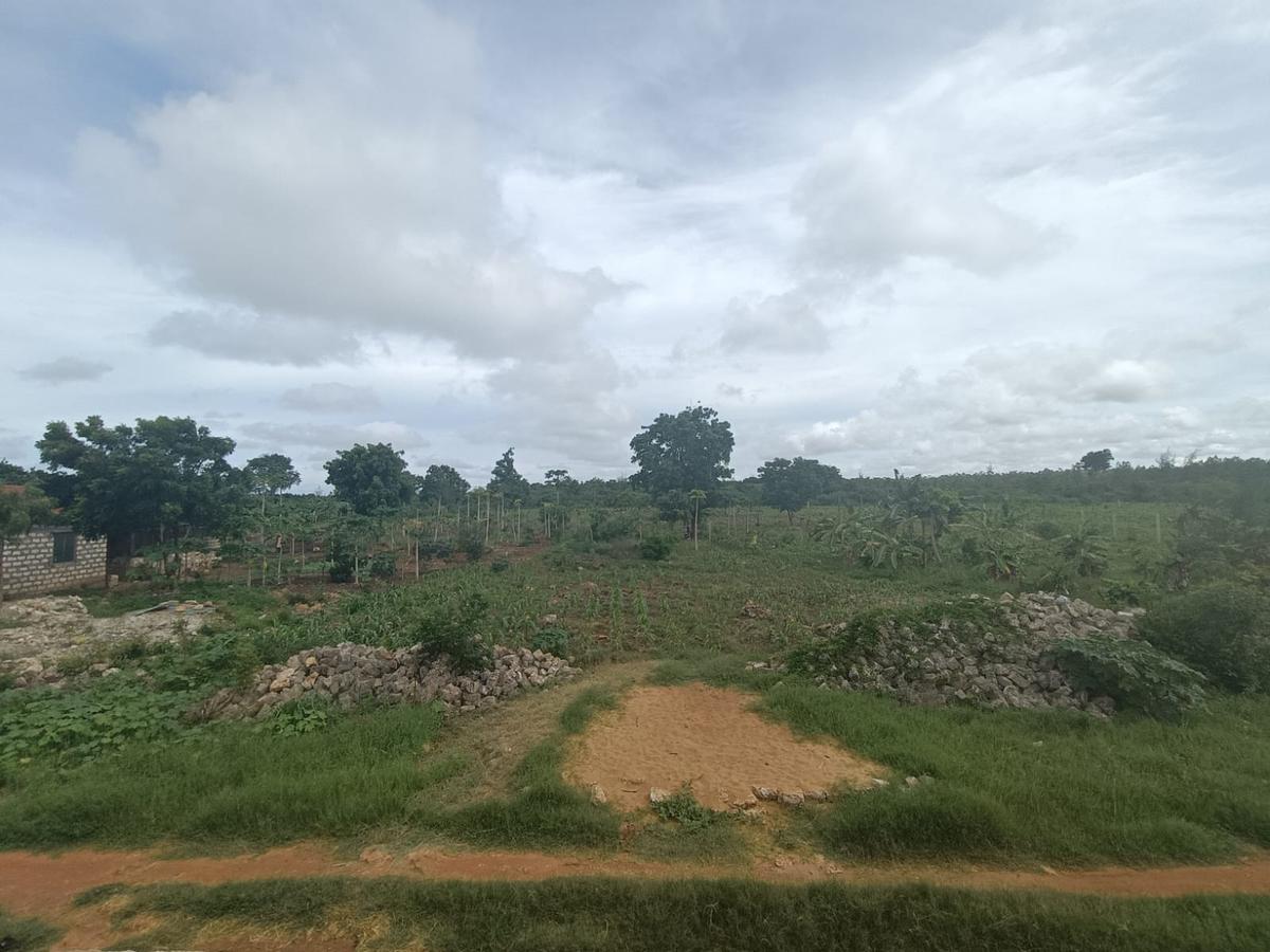 Land in Vipingo - 7