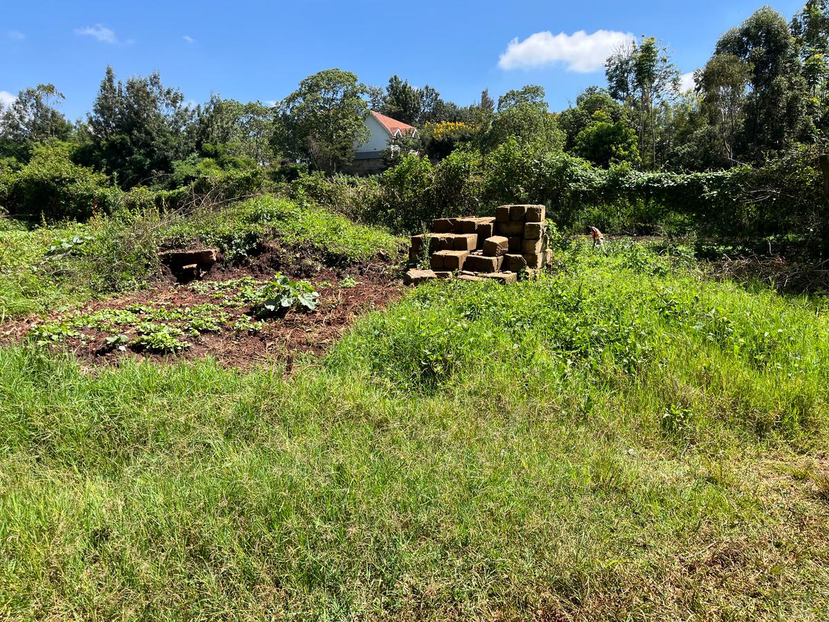 0.5 ac Land in Loresho - 5