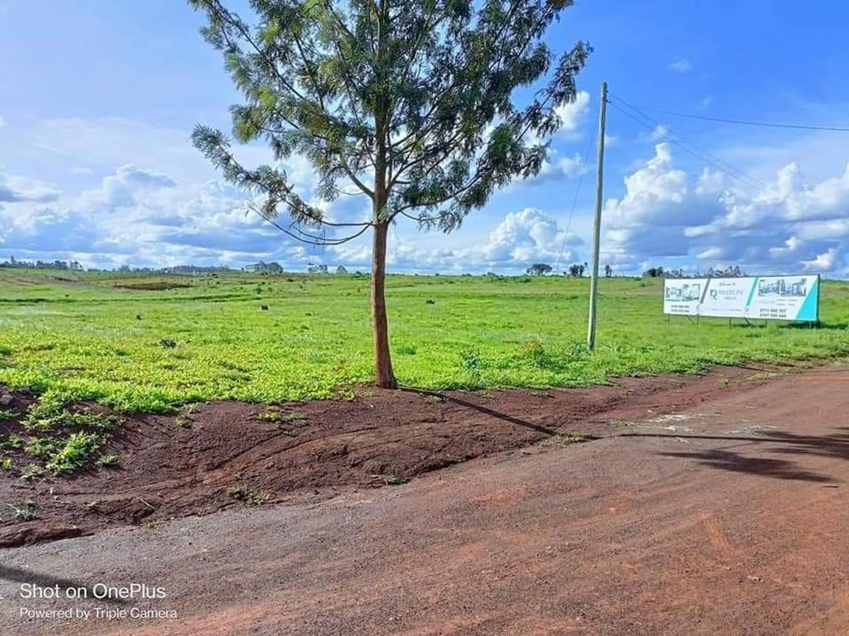 0.25 ac Residential Land at Ruiru-Mugutha (Kabogo) Road - 1