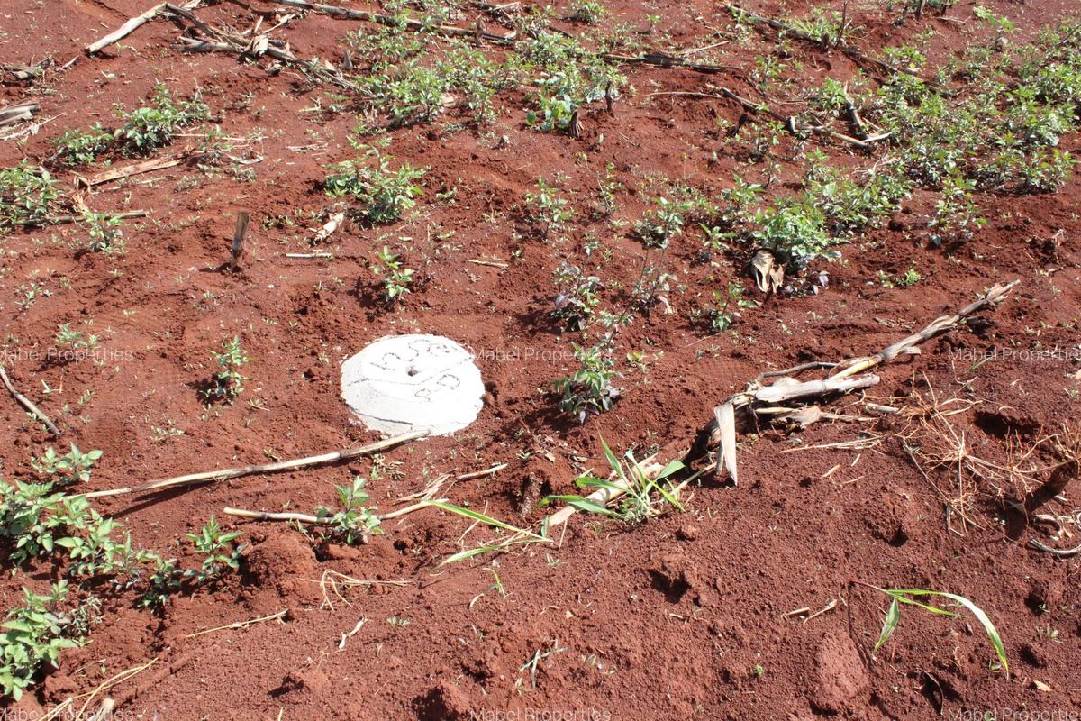 Residential Land at Gatanga Road - 9