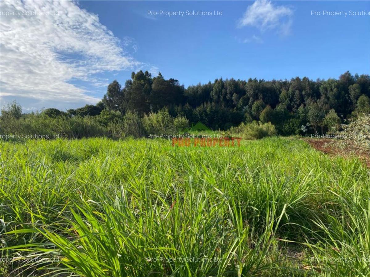 6,000 m² Land in Limuru - 12