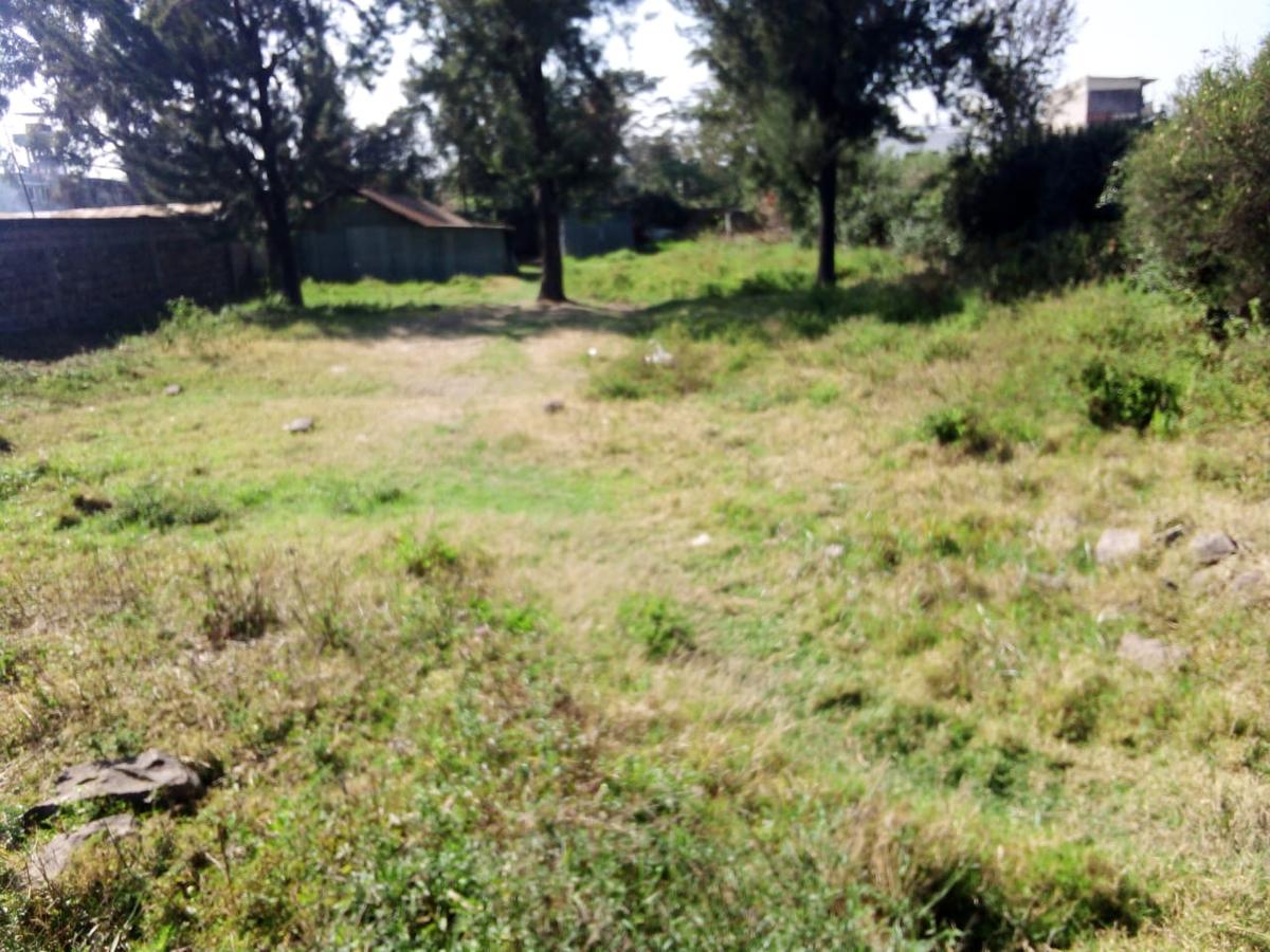 0.5 ac Land at Bulbul Ngong Nairobi Town - 3