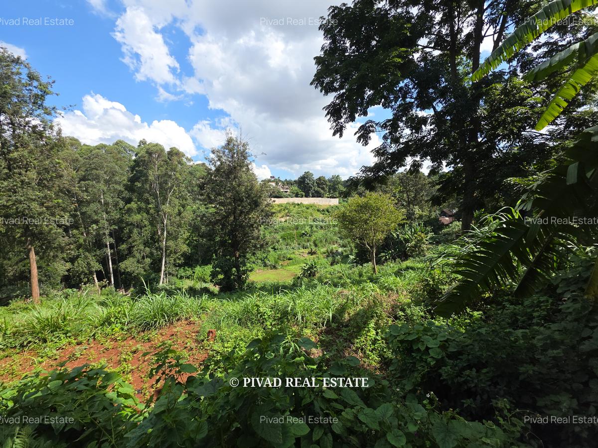 2.3 ac Land in Kitisuru - 6