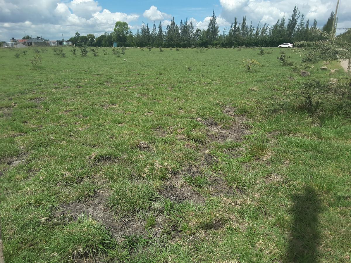 0.1 ha Residential Land in Ongata Rongai - 2