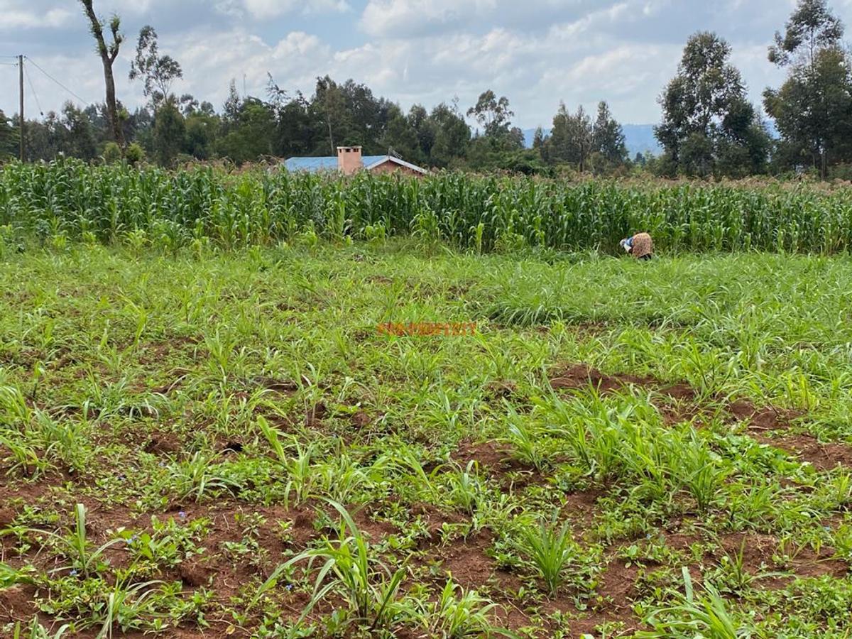 0.05 ha Residential Land in Kikuyu Town - 9