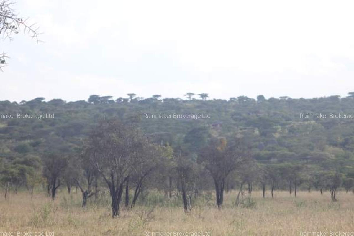 Land in Mombasa Road - 14