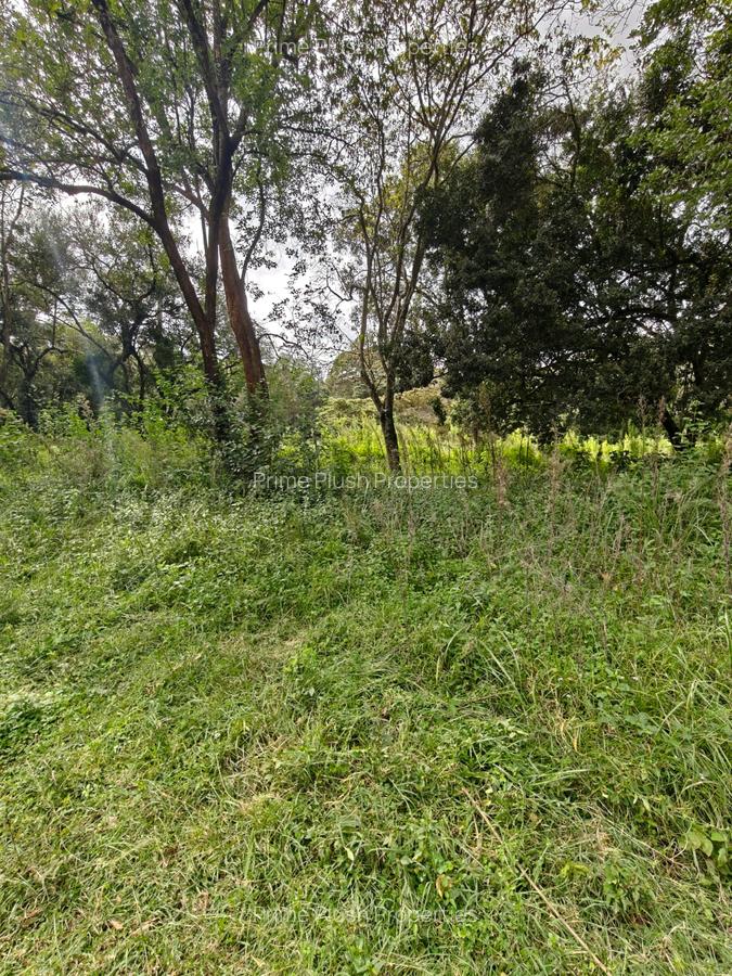 9 ac Land in Karen - 5