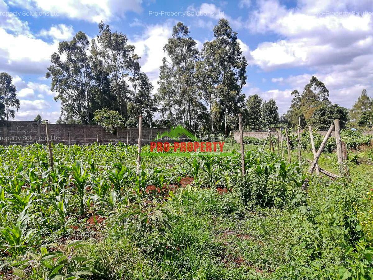 0.25 ac Commercial Land at Sigona - 8