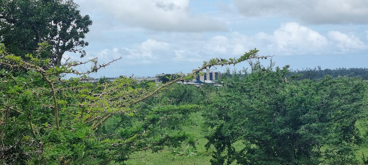 500 m² Land at Kilifi - 9