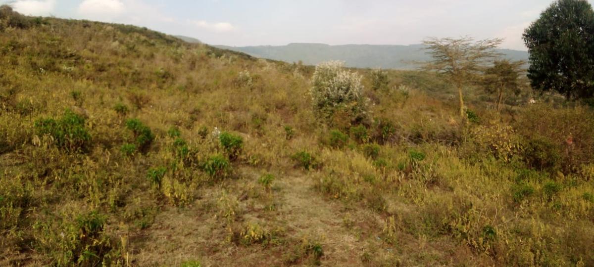 1 ac Land at Mai Mahiu - 2