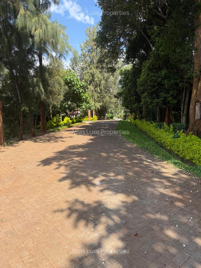 0.5 ha Land at Muthithi Garden - 3