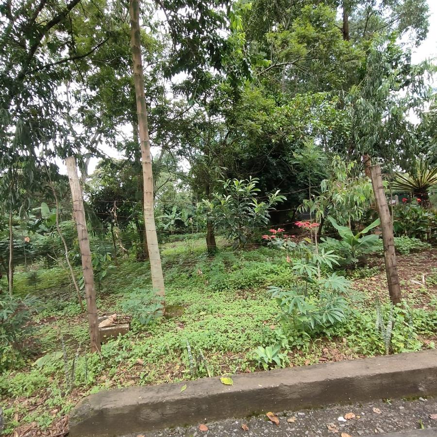 0.5 ac Land at Nandi Road - 7