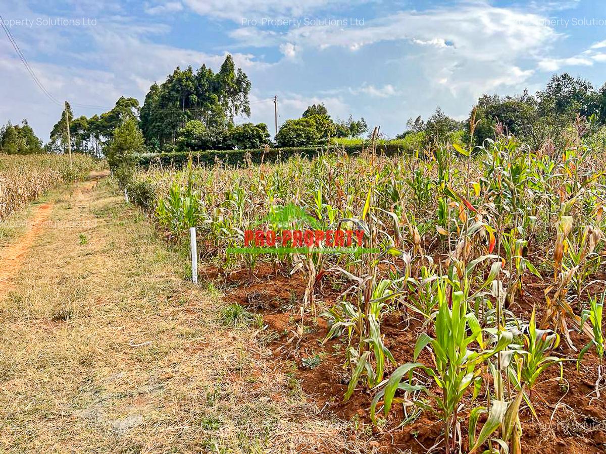 0.05 ha Residential Land in Kamangu - 12