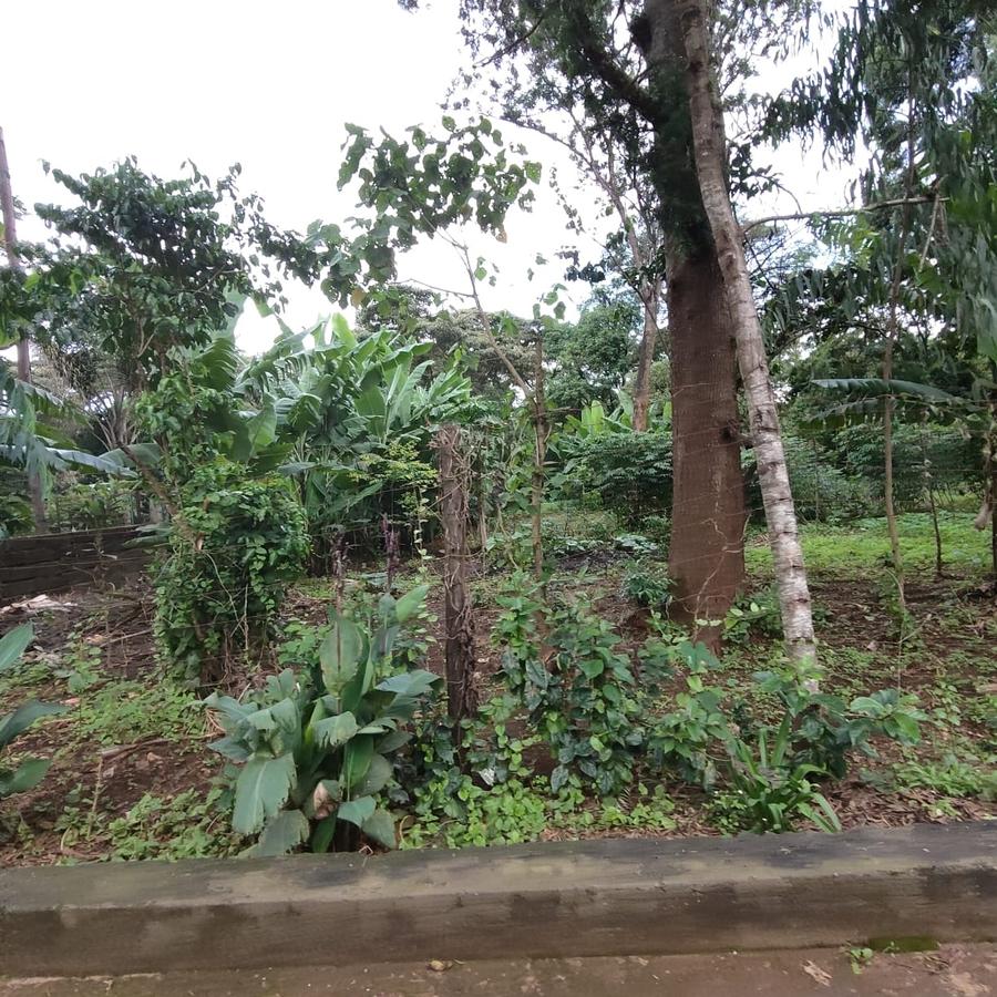 0.5 ac Land at Nandi Road - 14