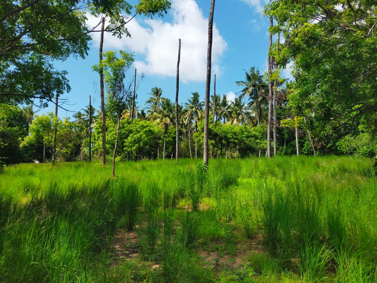 Land in Kilifi County - 3