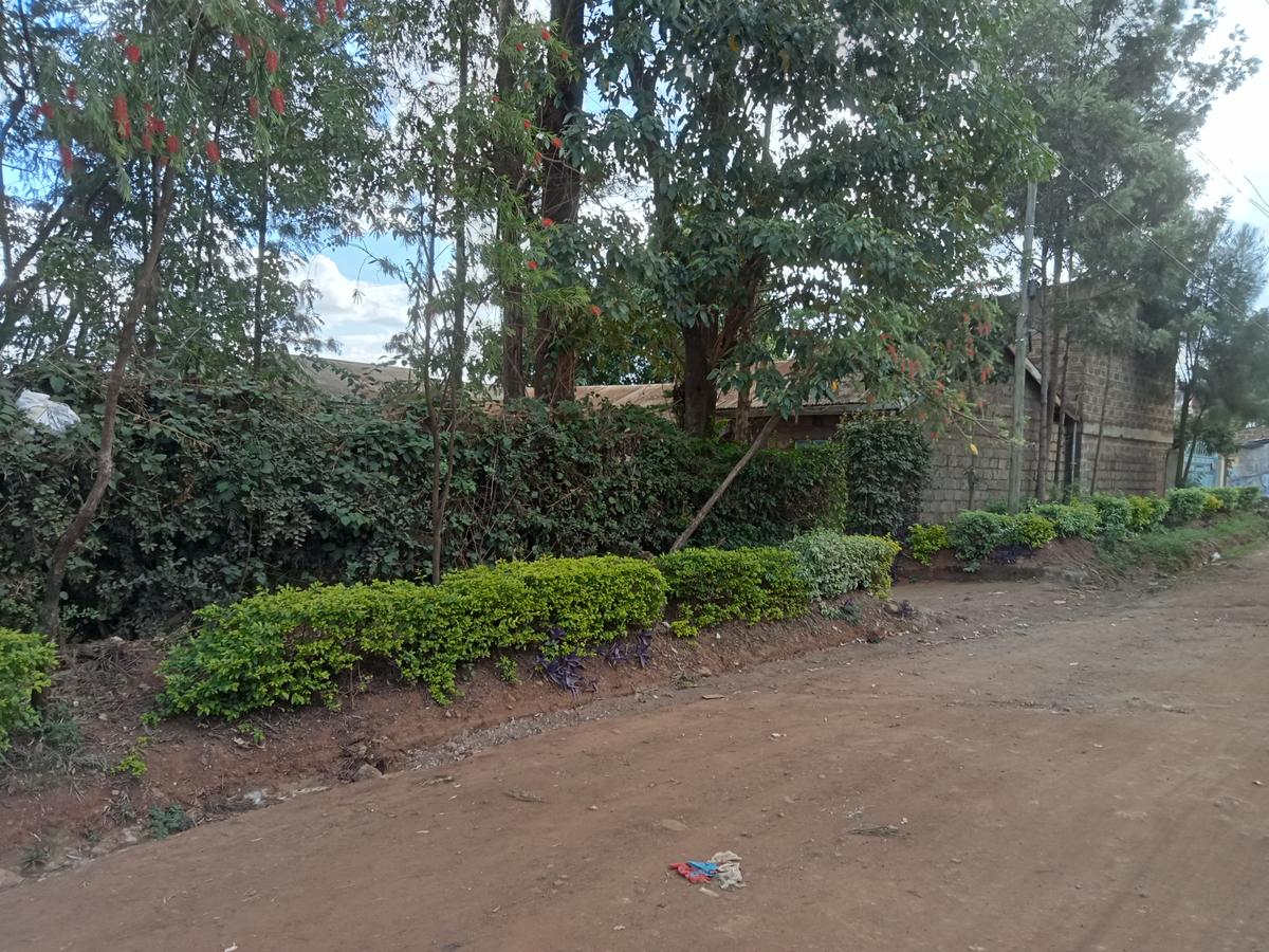 Commercial Property at Kiamumbi Estate - 2