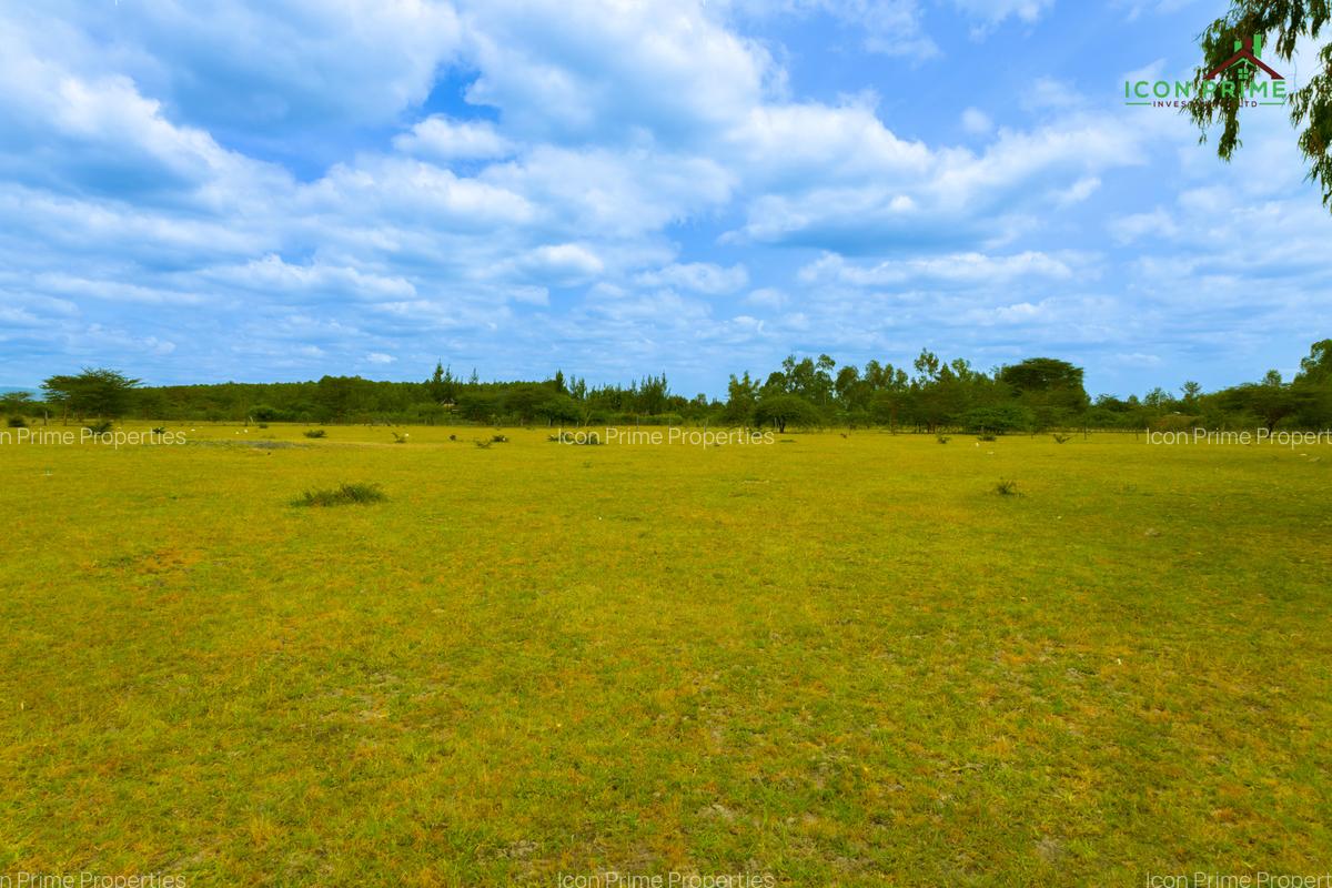 0.125 ac Land at Tala Area - 3