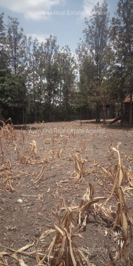 0.25 ac Commercial Land at Githurai - 10