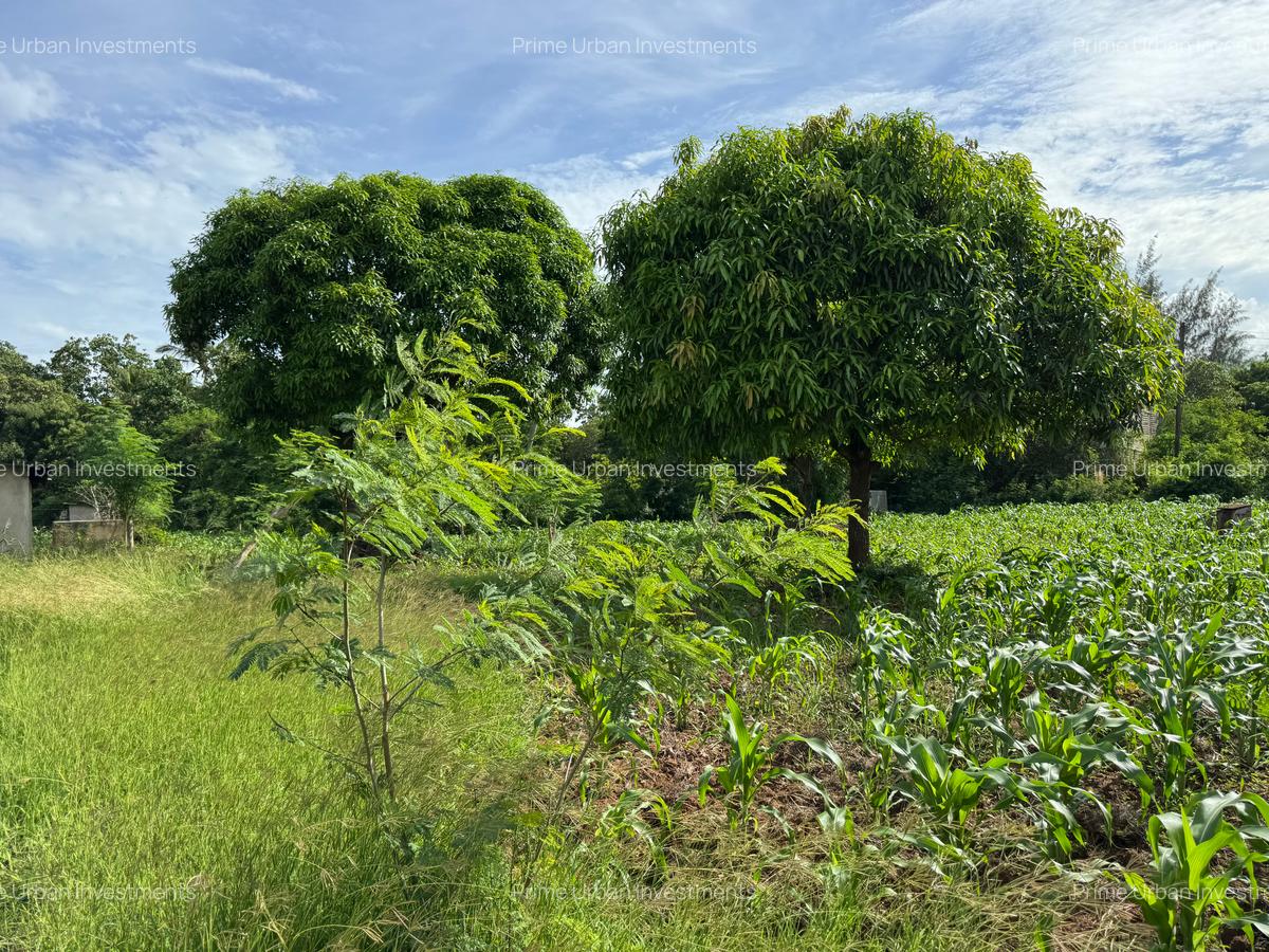 Land in Kikambala - 1