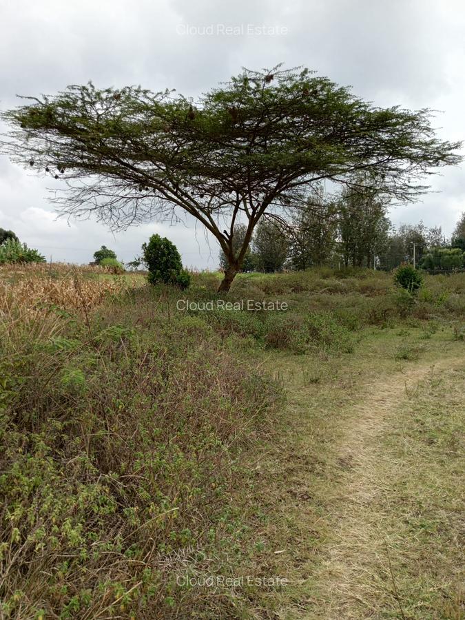 Land in Ngong - 5