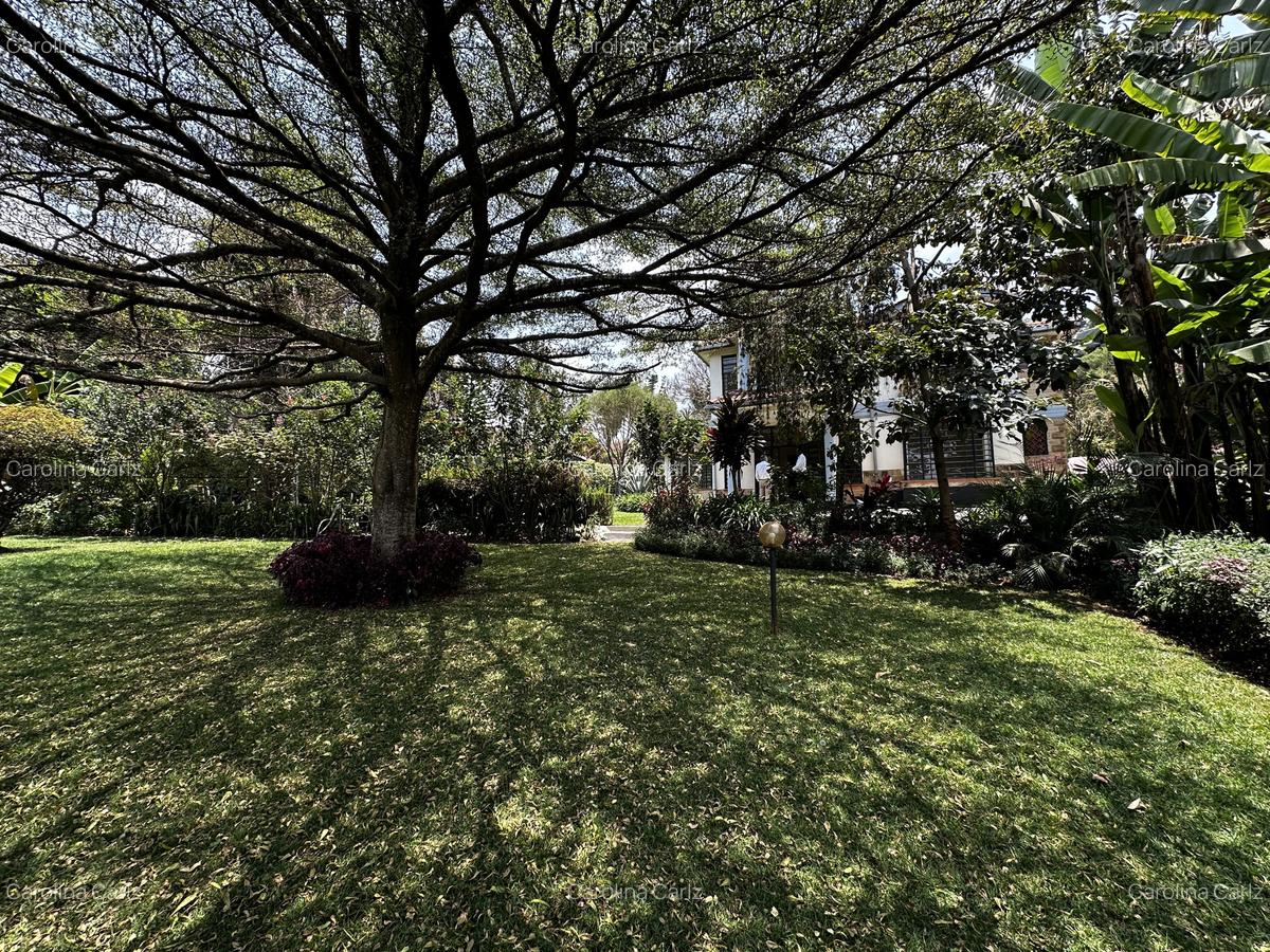 5 Bed Townhouse with En Suite at Nyari/Rossyln - 2