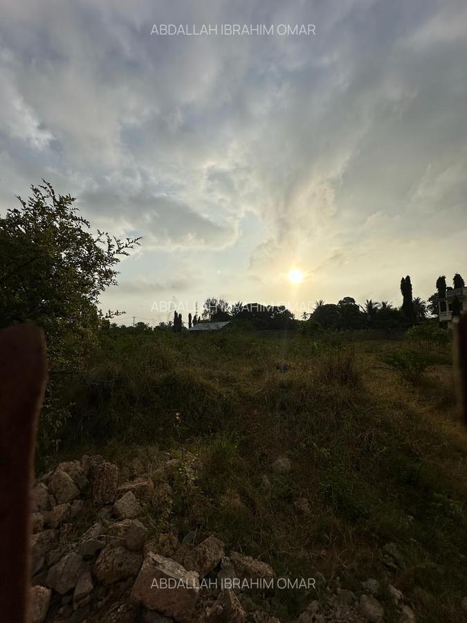 Land at Old Ferry Road - 4