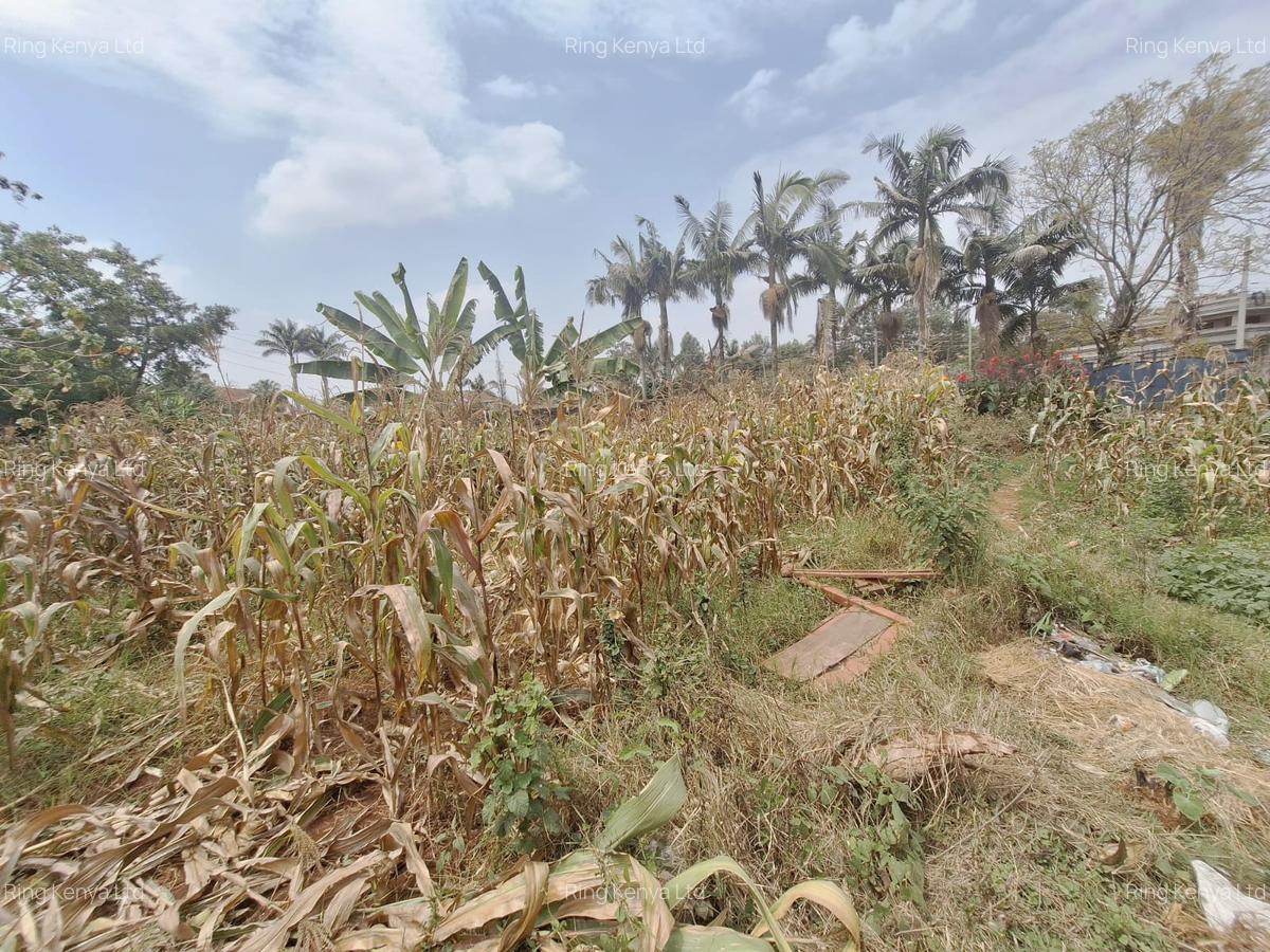 0.62 ac Land at Runda - 4