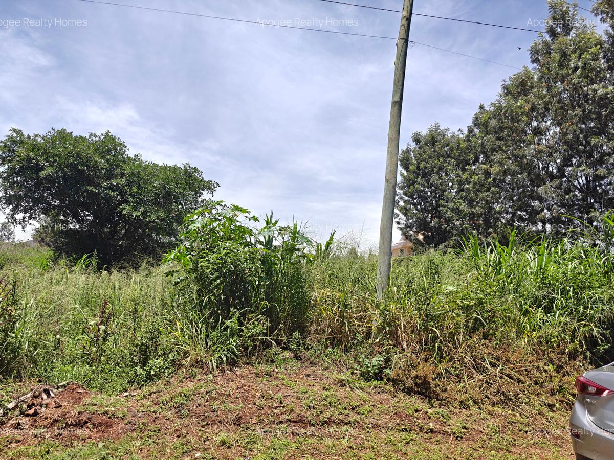 0.5 ac Land at Mushrooms Garden - 10